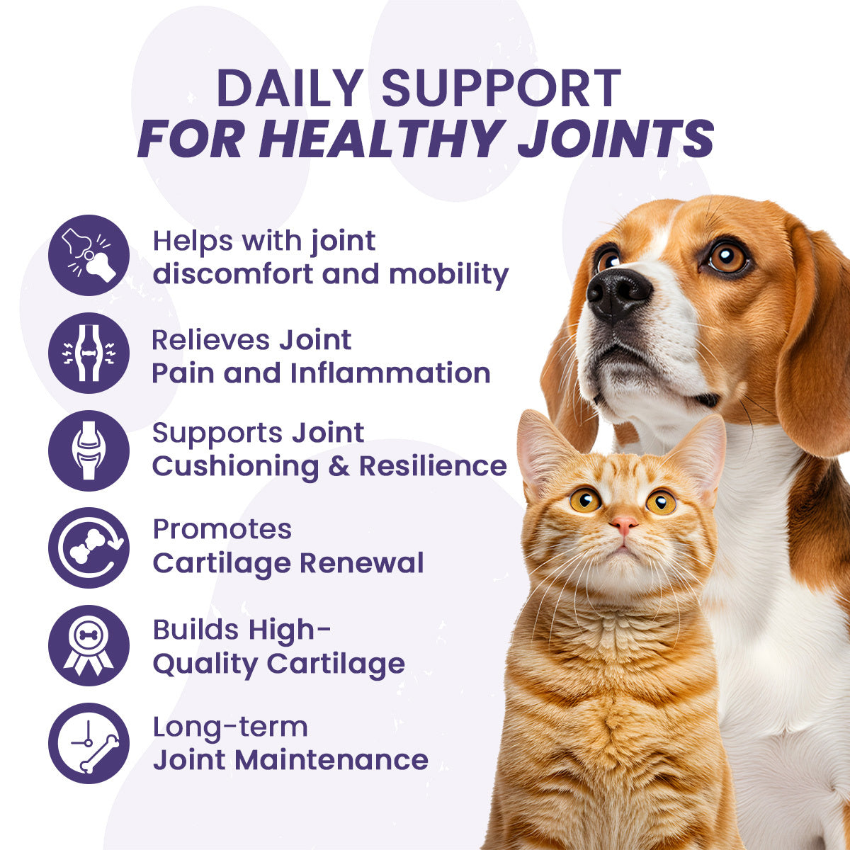 Glucosamine® Ultime